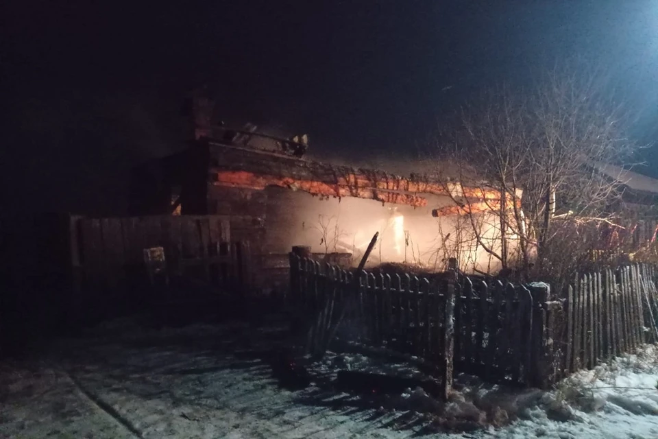 Пенсионер и его 27-летний сын погибли в страшном пожаре в селе Шипицино под Новосибирском. Фото: СК РФ НСО.
