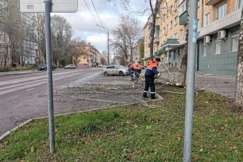 Сильный ветер повалил деревья и оторвал листы кровли в Липецке