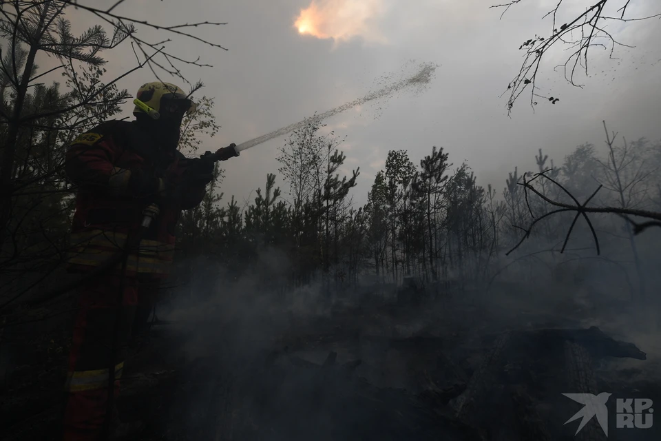 Несложное возгорание в Рязанской области в первый момент упустили, а потом поднялся ветер...