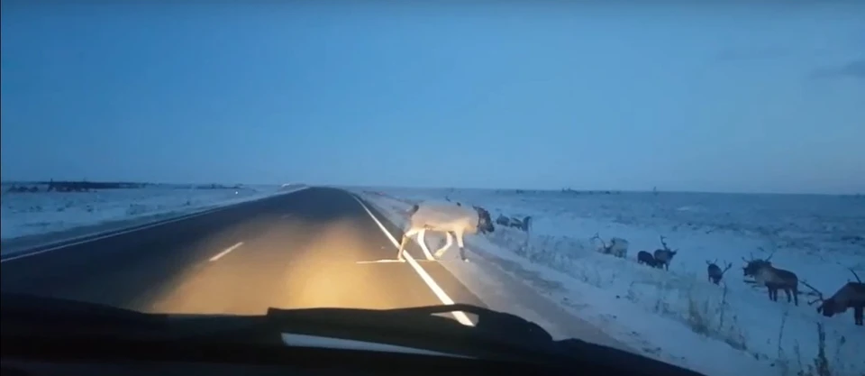 Скриншот из видео