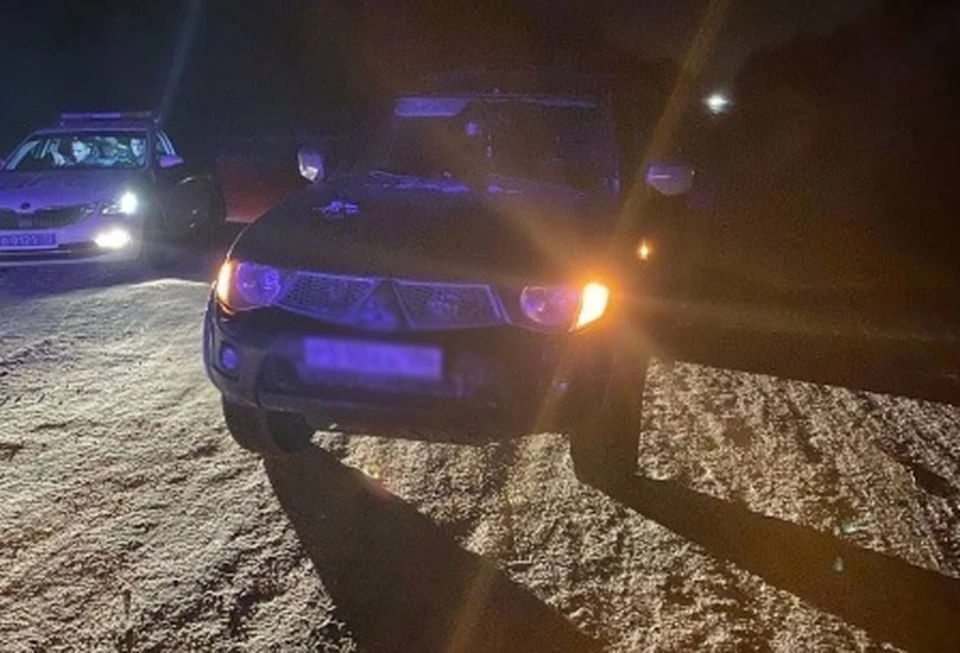 Двое мужчин перевозили наркотики в автомобиле