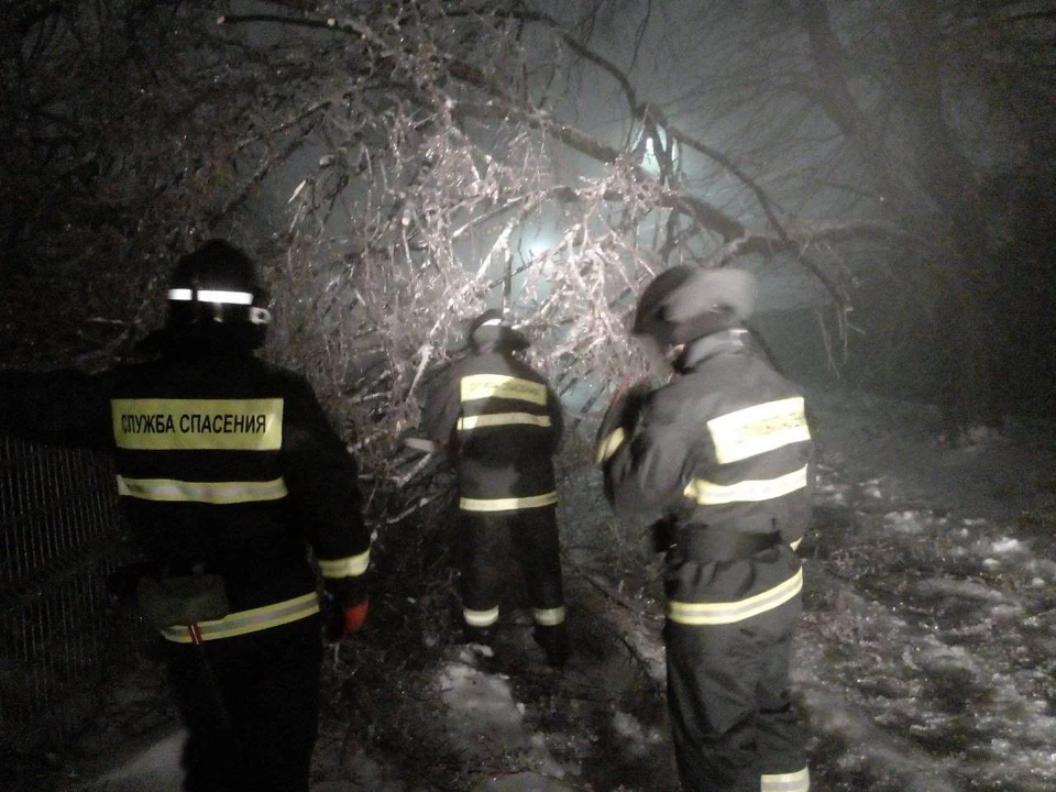 24 ноября в Ульяновске три бригады будут вывозить с улиц упавшие деревья
