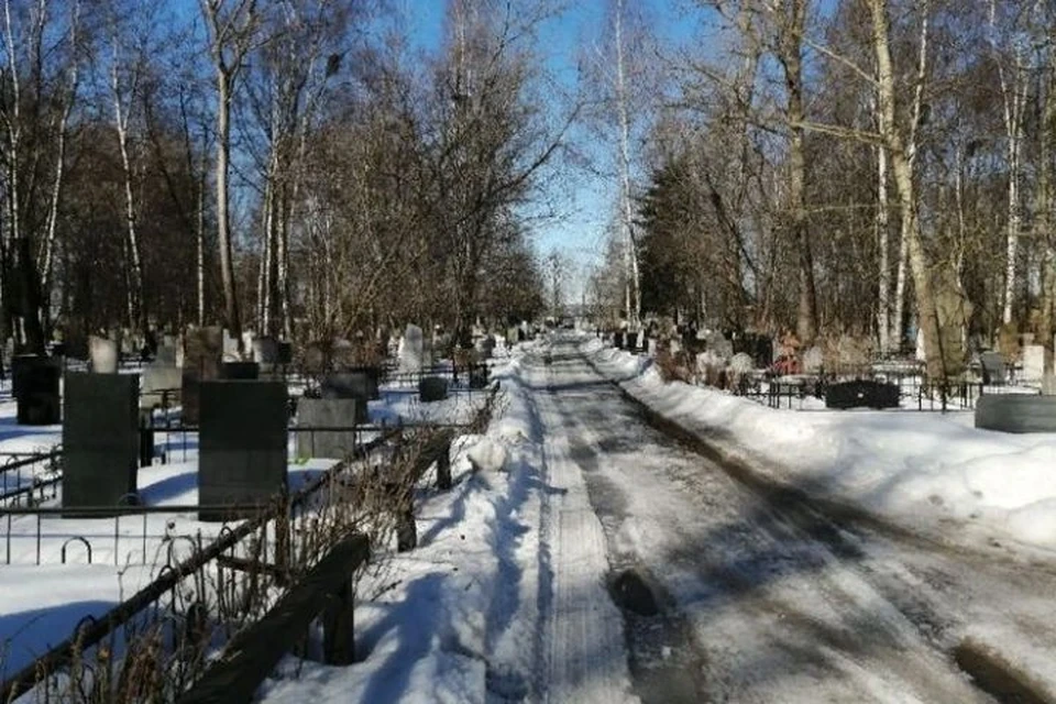Новое кладбище в Ярославле откроют осенью 2023 года
