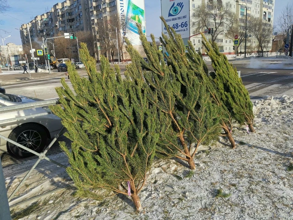 Фото: архив КП