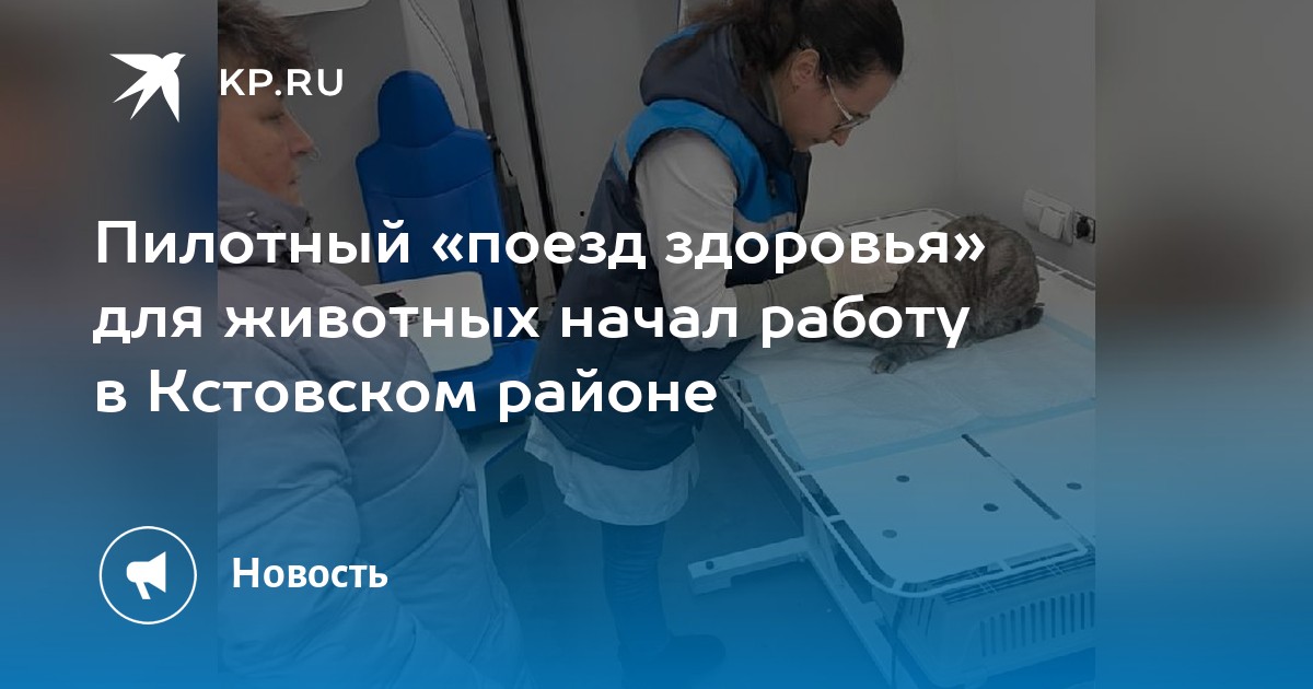 Пилотный «поезд здоровья» для животных начал работу в Кстовском районе