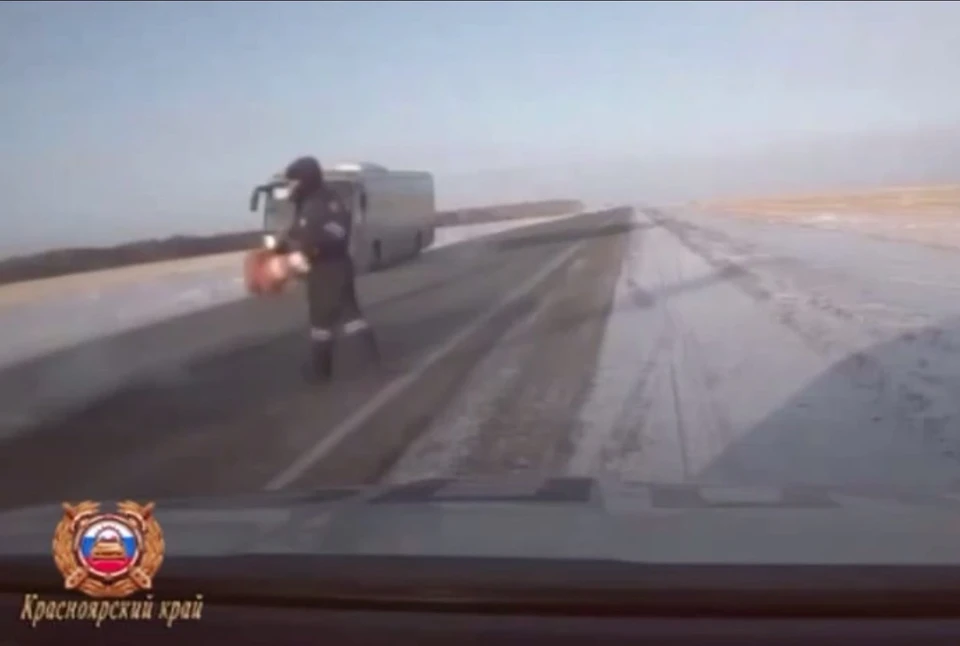 Фото: скриншот видео ГУ МВД Красноярского края