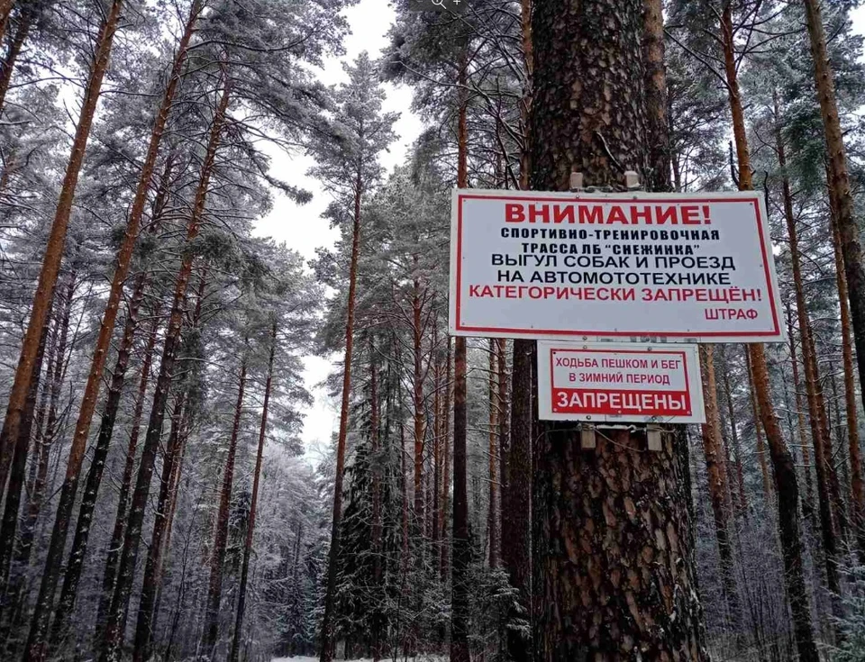ДТП произошло на лыжной базе "Снежинка". Фото: "Первое Кунгурское" 100.3 fm/ВКонтакте