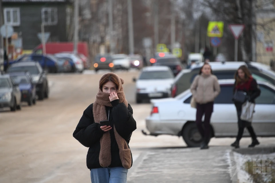 Рязанцев днем 5 декабря ждут -12 градусов и очень высокое давление.