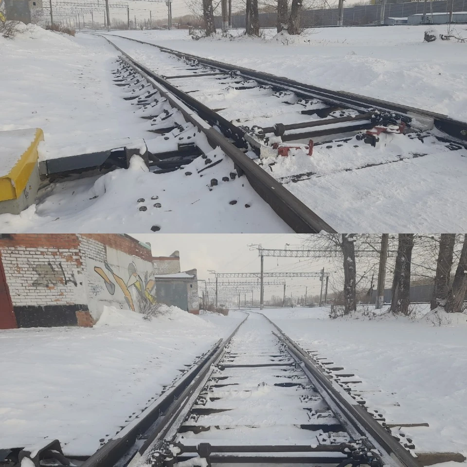 Фото: Алёна Голева