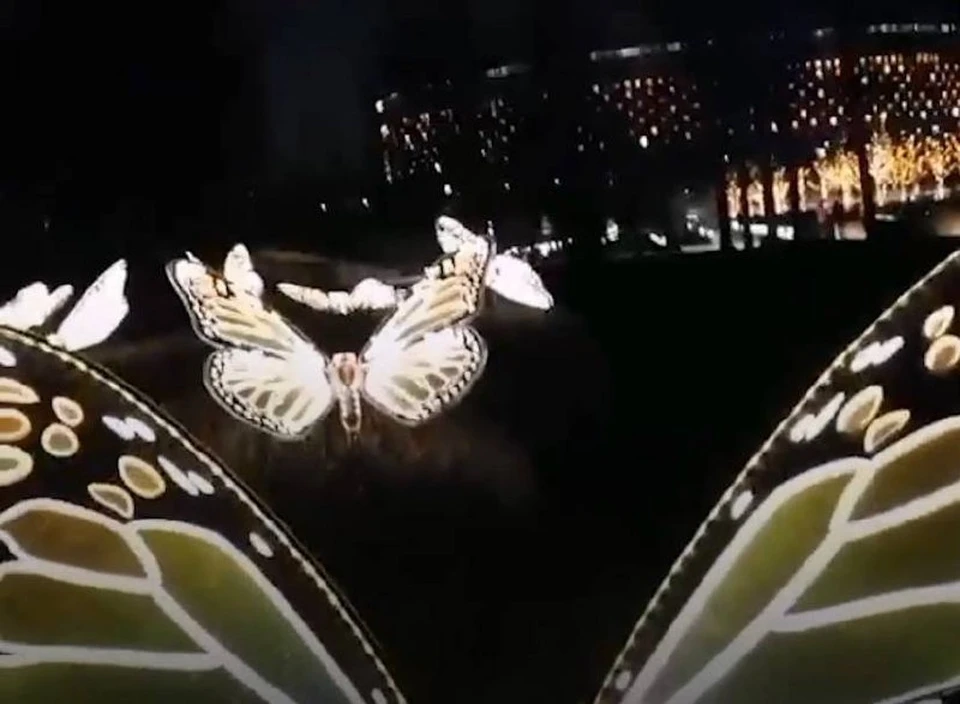 Фото: скриншот видео.