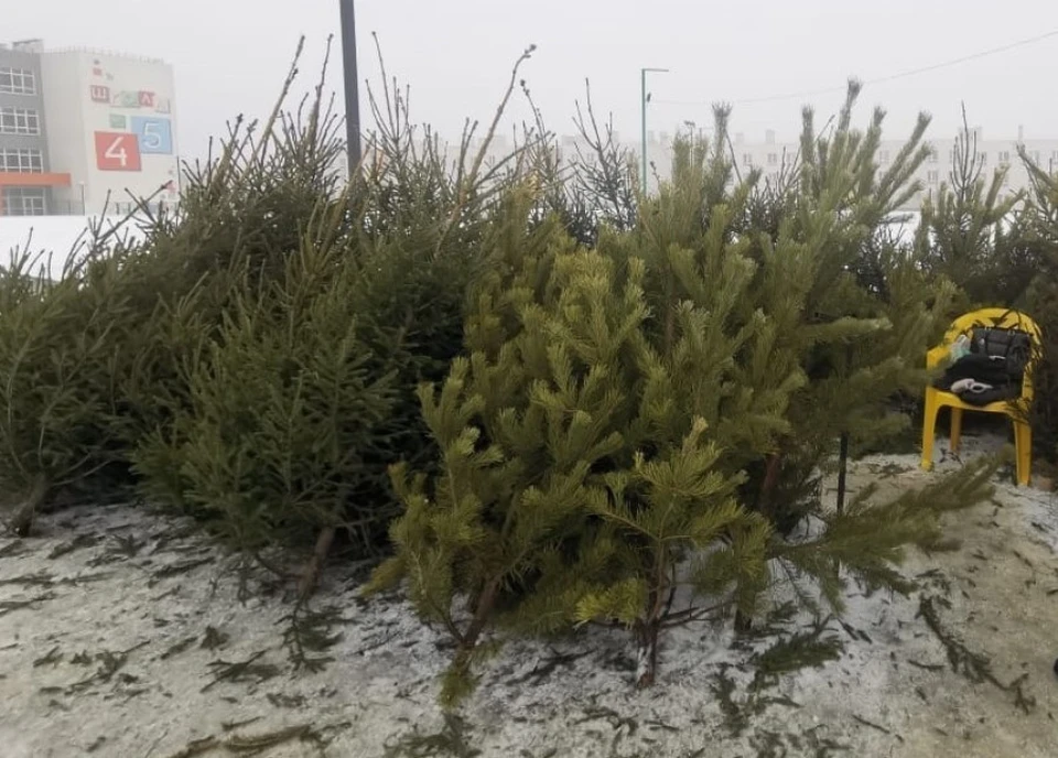 Список позже будет дополнен