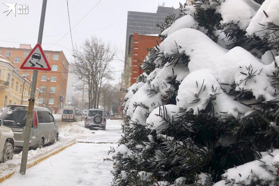 Новая рабочая неделя в Приморье начнется со снегопада.