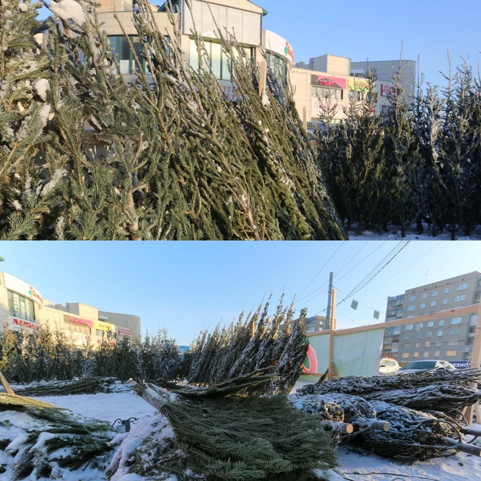 Фото: Густаво Зырянов