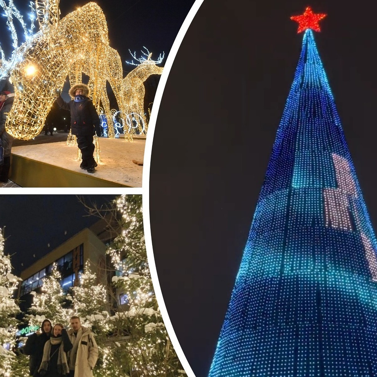 Это точно Новосибирск? Красивые локации для зимних фотосессий в декабре  2022 - KP.RU