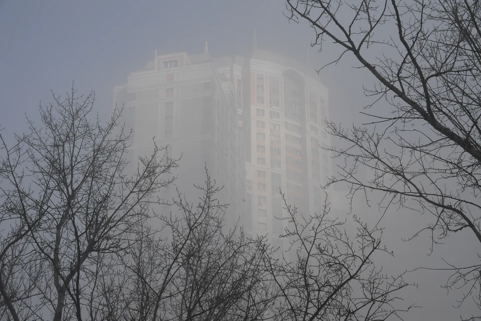 Новосибирцев предупредили о смоге 14 декабря.