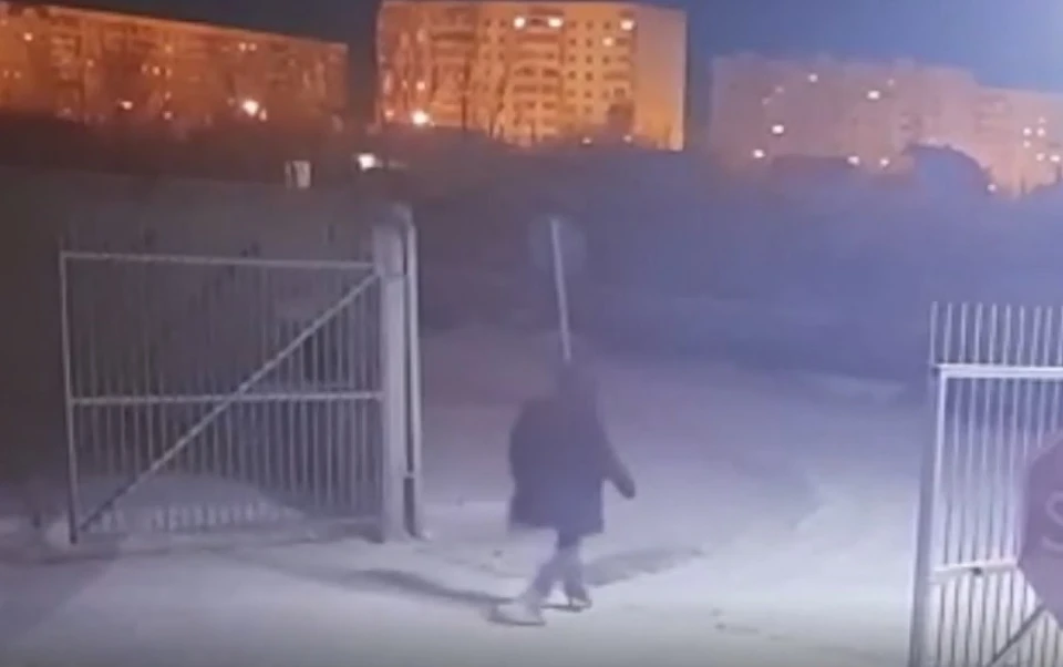 Злоумышленник уходит с вещами в закат. Фото: скриншот видео, предоставленный УМВД России по Омской области