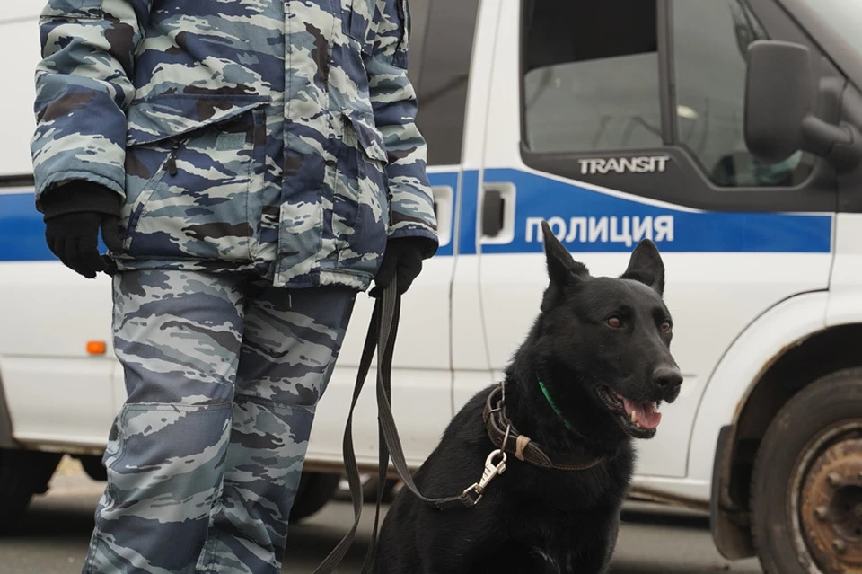Бомбы пришлось искать в бассейне в центре города и административном здании на улице Гоголя