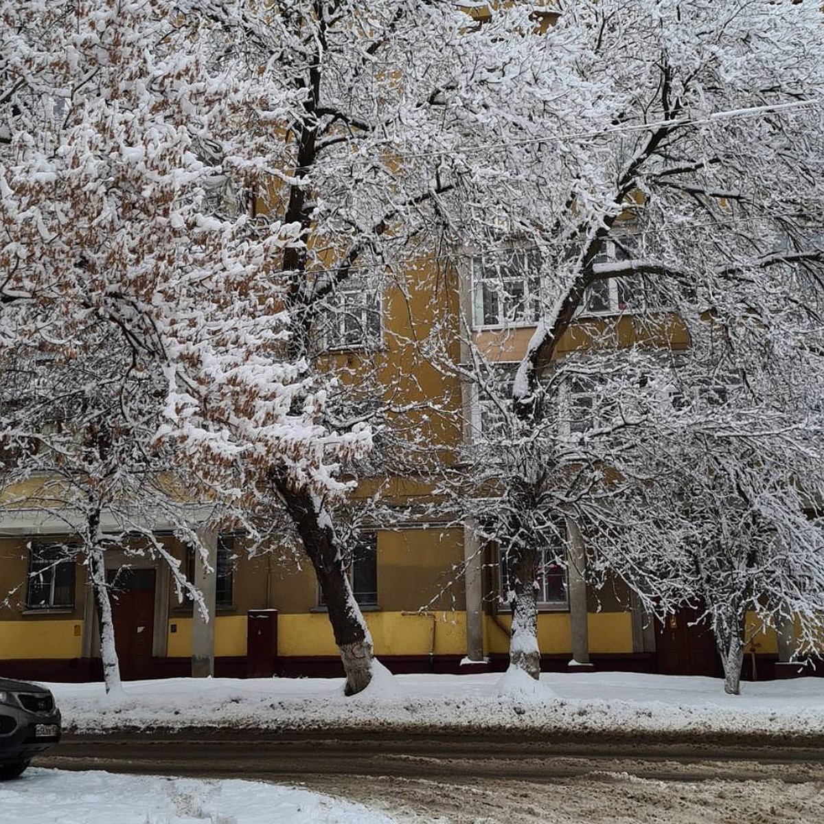 Горки вместо лестниц и снега по колено: Нижегородцы жалуются на сугробы во  дворах - KP.RU