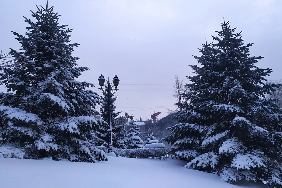 Во Владивостоке температура воздуха достигнет -6°C.