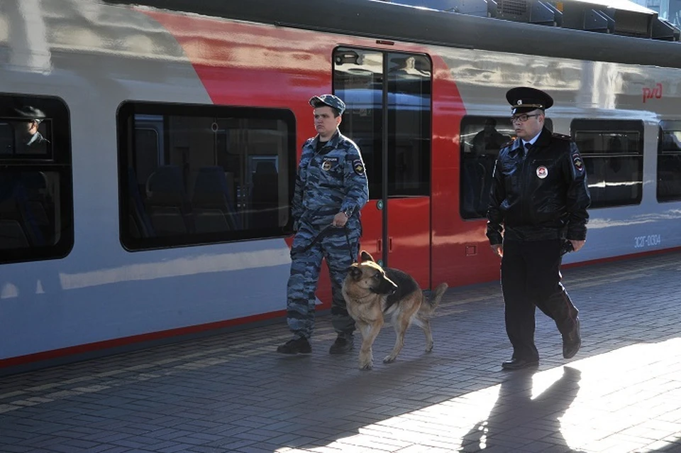 Пассажирка поезда «Нерюнгри – Хабаровск» напала на полицейского