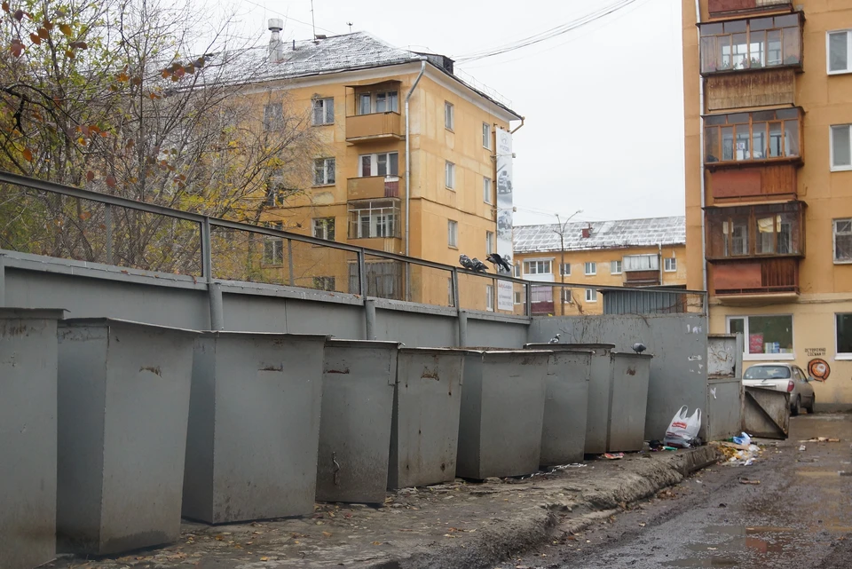 Цинковый гроб был обнаружен на мусорке в одном из дворов на улице Гагарина и сразу переполошил горожан