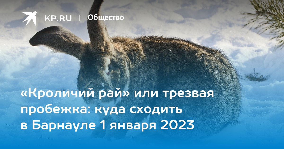 Куда сходить январь 2023