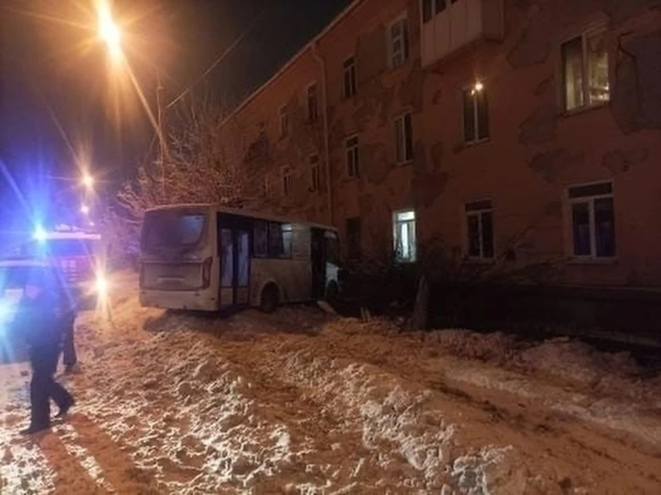 Фото: УМВД России по Омской области