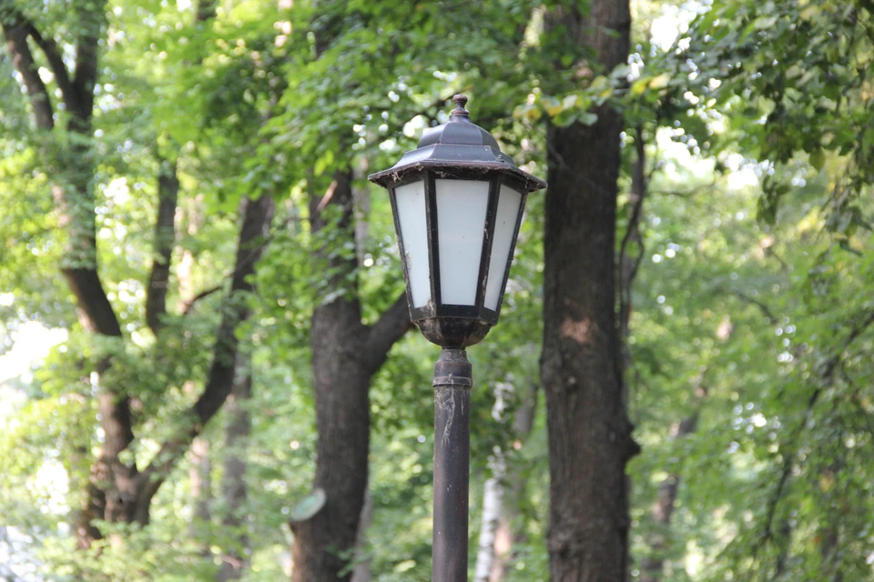 Фото автора.