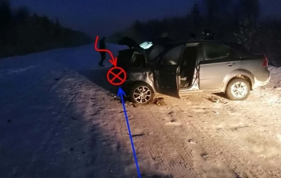 Фото: управление ГИБДД по Коми