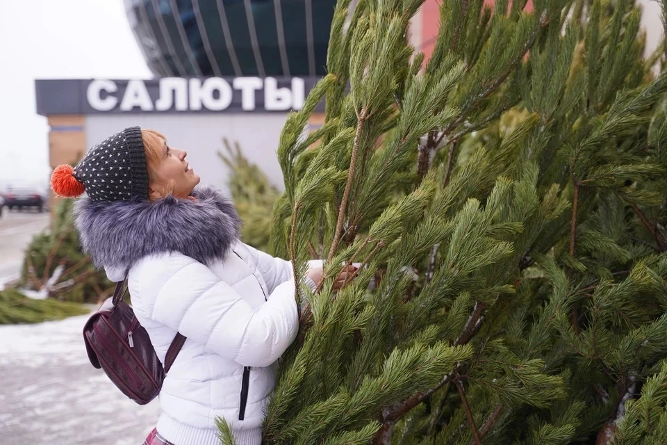 Больше половины россиян выносят елку сразу после Старого Нового года