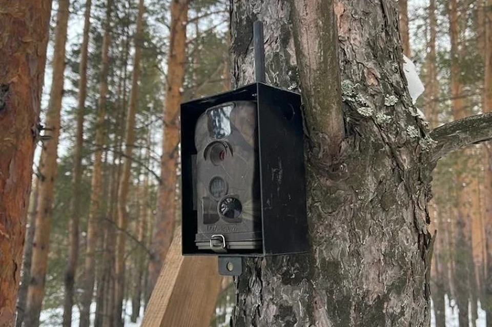 За автомобилистами будут следить 11 камер. Фото: департамент информационной политики Свердловской области