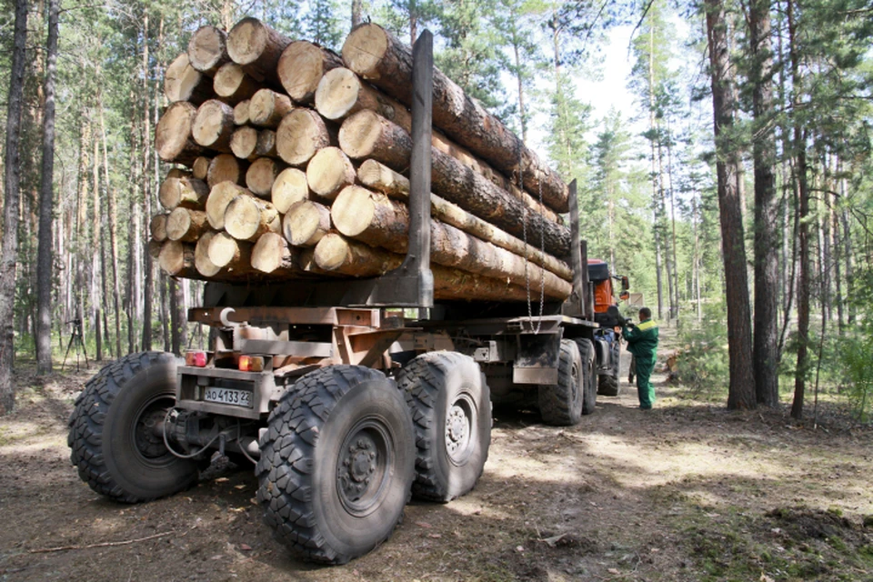 После вступления в силу постановления Правительства РФ экспортеры смогут вывозить древесину грузовиками.
