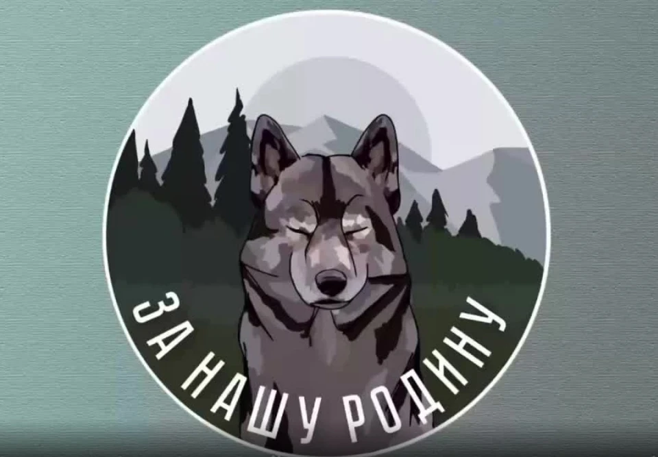 Фото: скриншот с видео