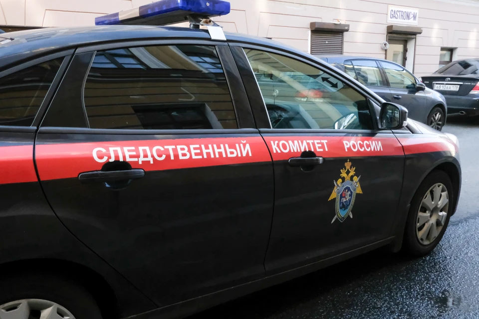 Следственный комитет возбудил уголовное дело после загадочной смерти 17-летнего студента на севере Петербурга
