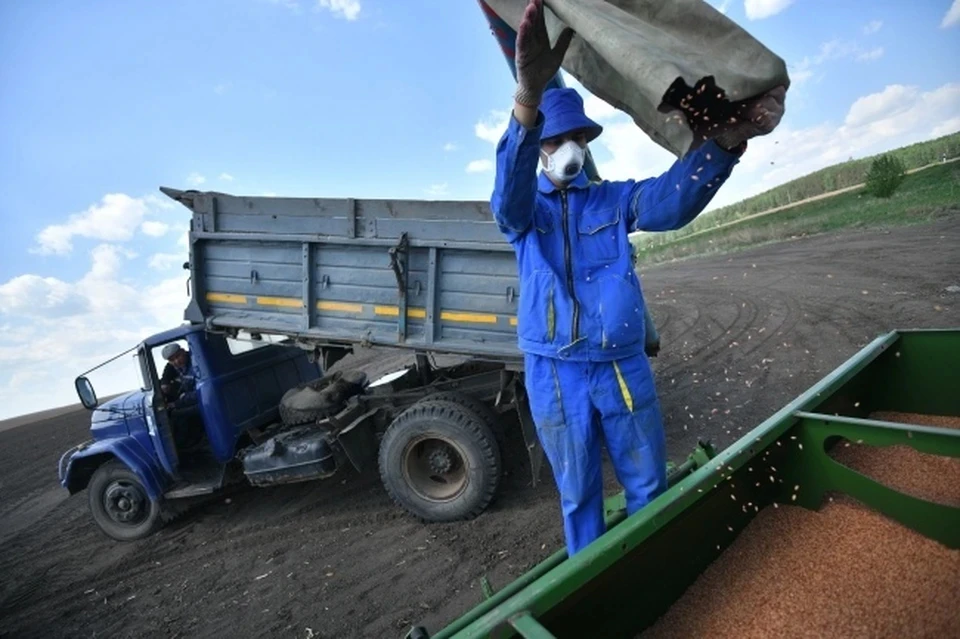 в прошлом году крымские аграрии застраховали более 100 тысяч условных гектаров сельхозкультур