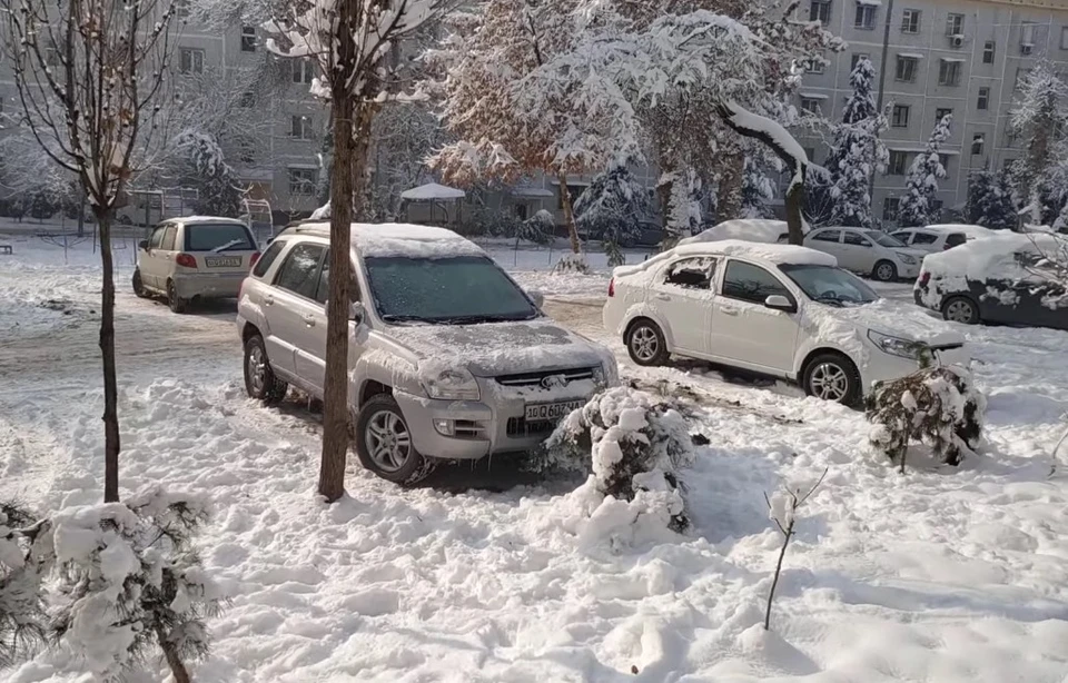Снег и морозы в Ташкенте, январь 2023 года.