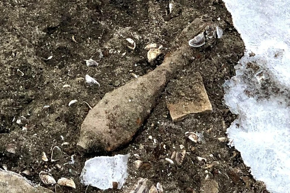 Найденным снарядом оказалась 50-миллиметровая минометная мина времен войны. Фото: пресс-служба Росгвардии Адыгеи