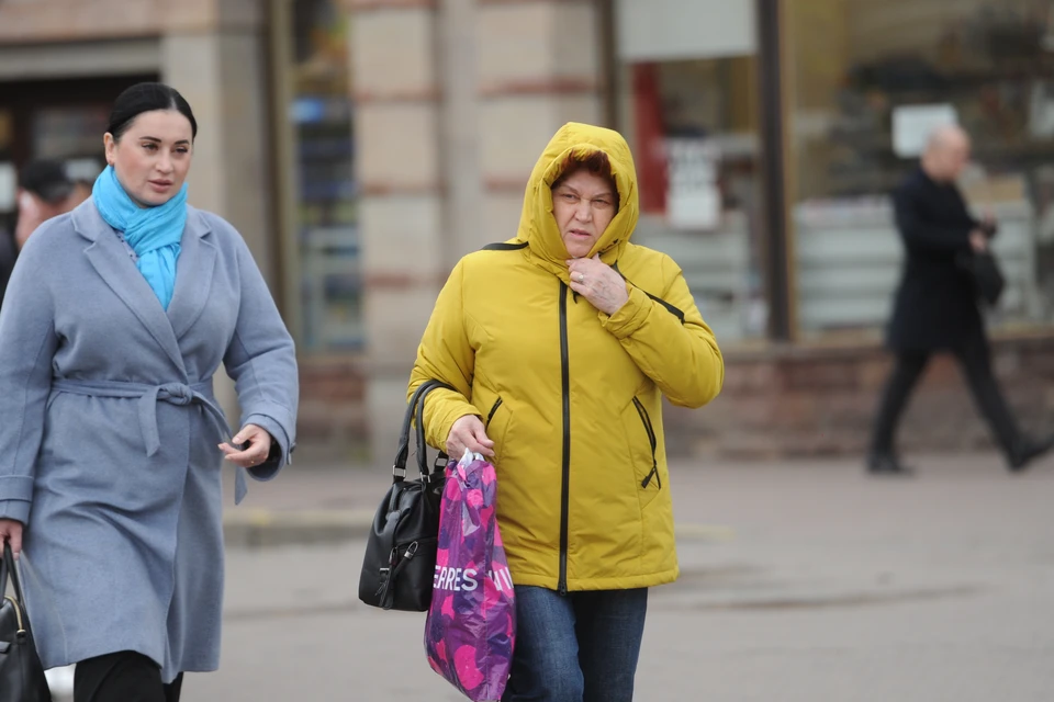 МЧС предупредило о сильном ветре в Петербурге 19 января