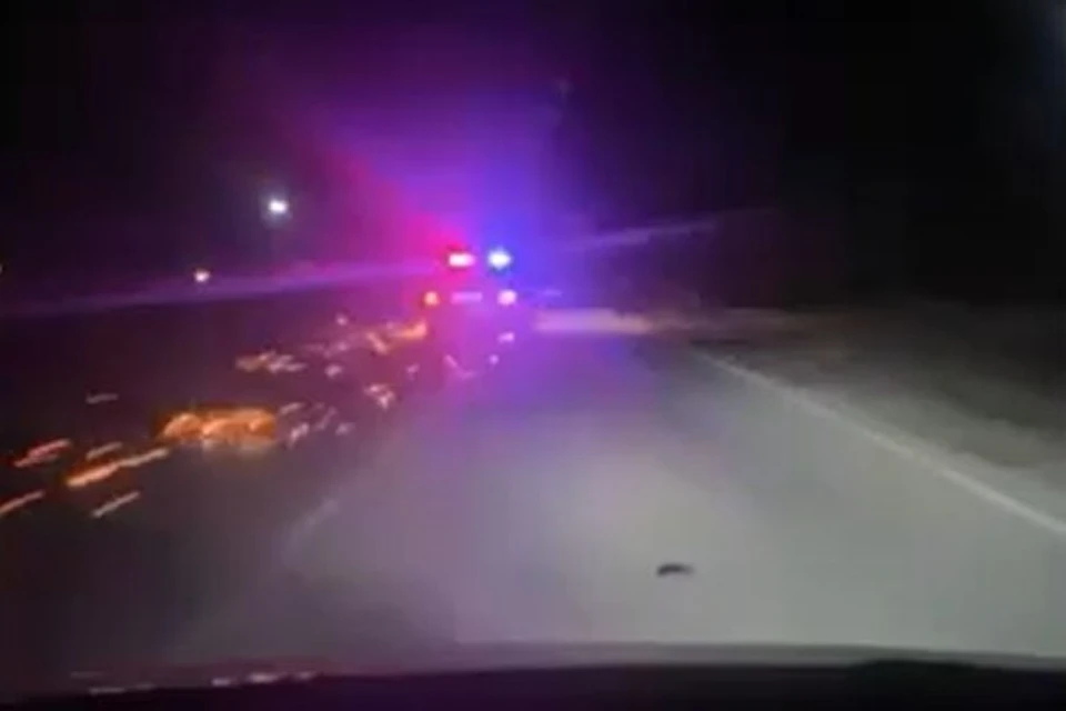 После остановки машины водитель пытался убежать от сотрудников ДПС Фото: кадр из видео