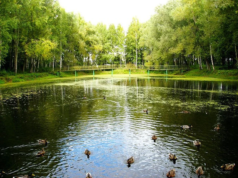 Источник: yandex.ru