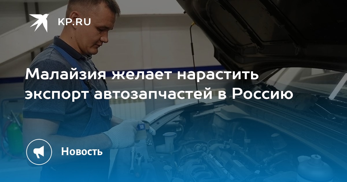 Малайзия выразила готовность нарастить экспорт автозапчастей в Россию
