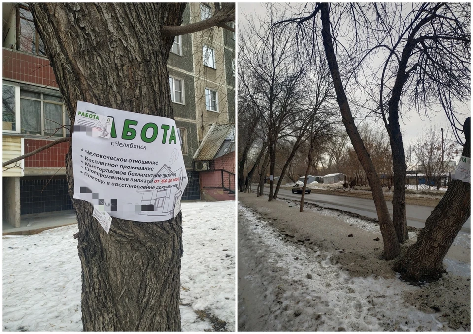 «Пакостники» вербуют сотрудников с помощью аллеи на улице Гражданской. Фото: «Пусть Котова знает!» / vk.com