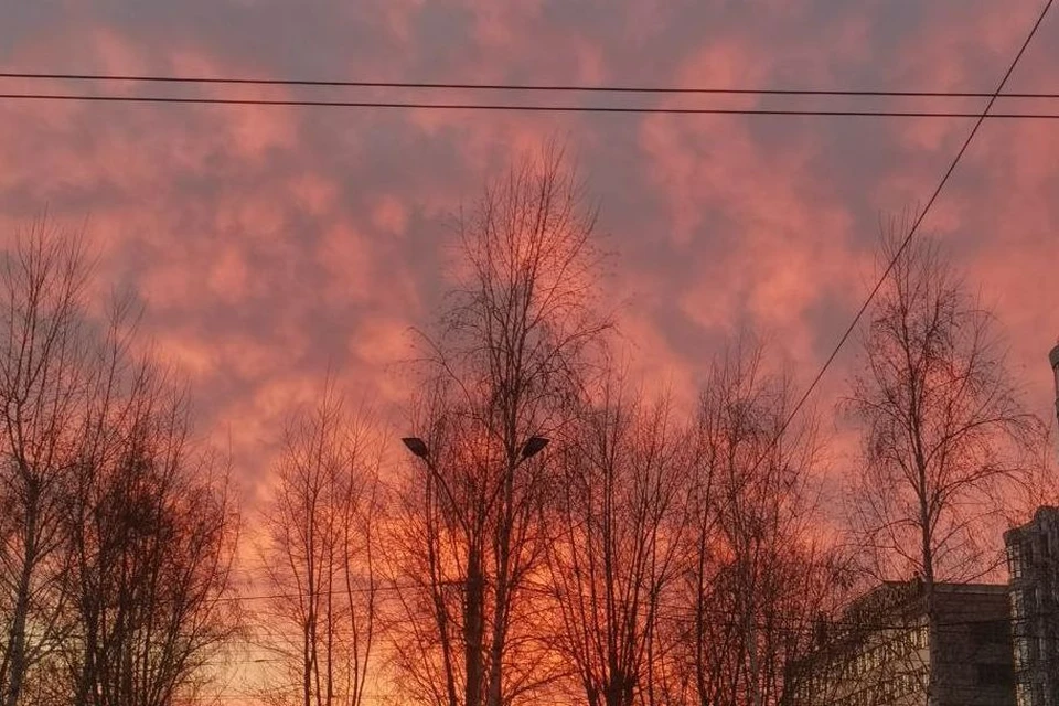 На кадрах видно, что небо стало розовым