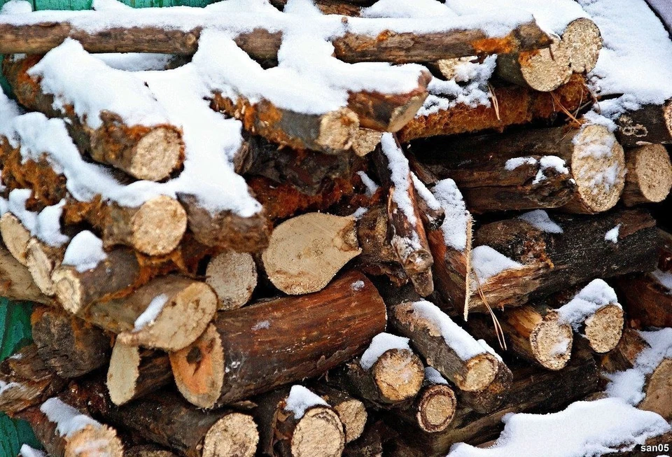 Источник: freepik.com