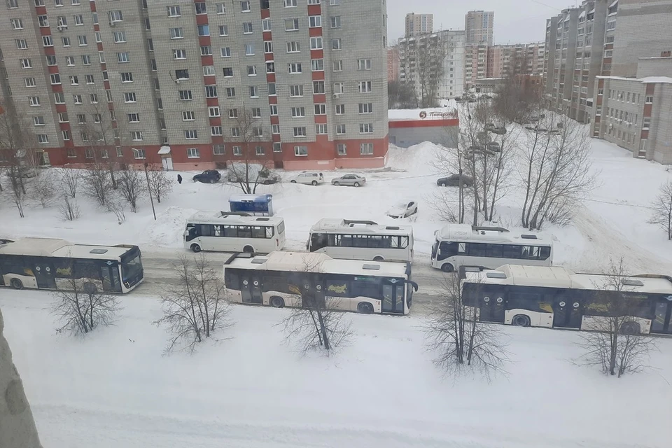 Автобусы выстроились на улице Печатников, возле временной конечной остановки. Фото: Маргарита Туркина.