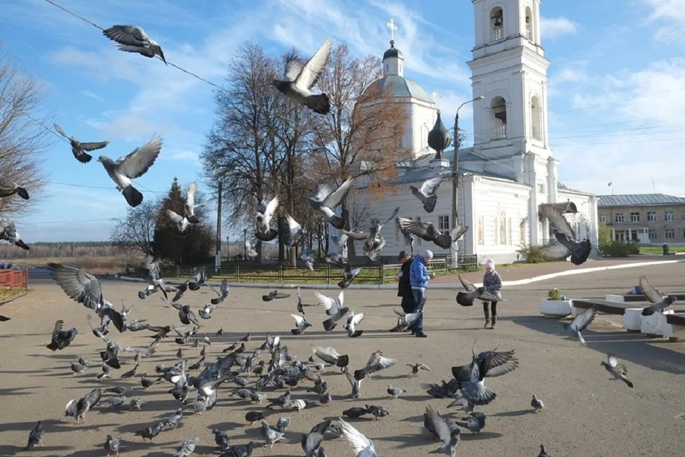 В сумке странного гражданина было более десятка пернатых.