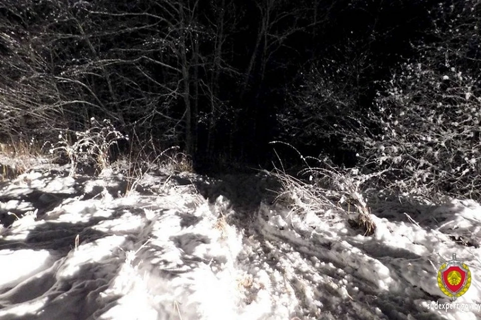 Наркоманка замерзла насмерть, пока искала закладку ночью в парке зимой. Фото: ГКСЭ по Витебской области