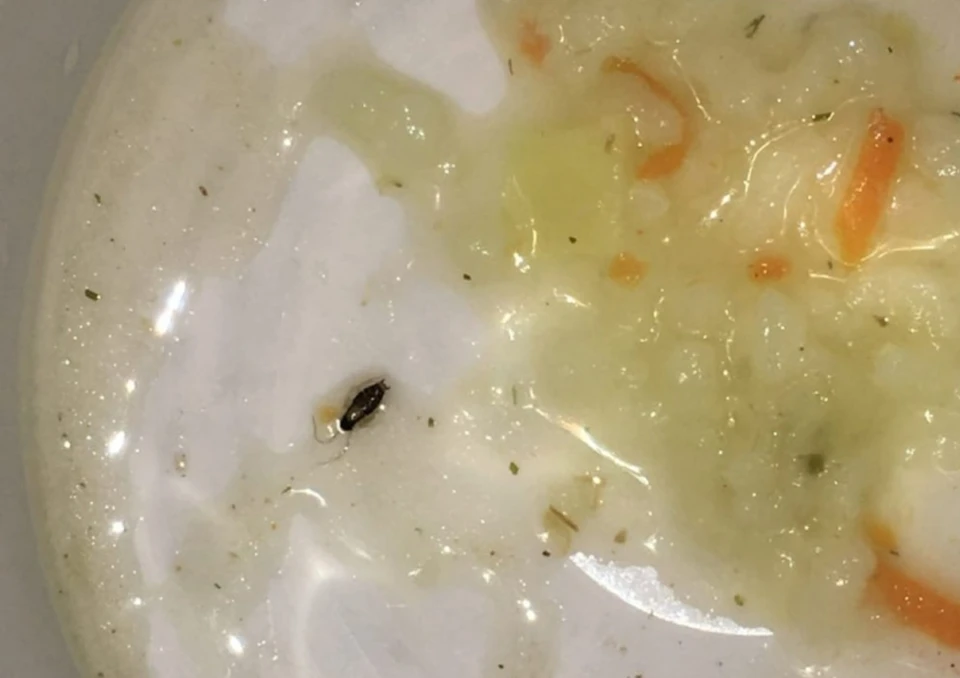 Жука нашли в тарелке с супом.