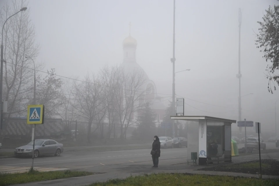 Нога пенсионерки оказалась прямо под задним колесом машины