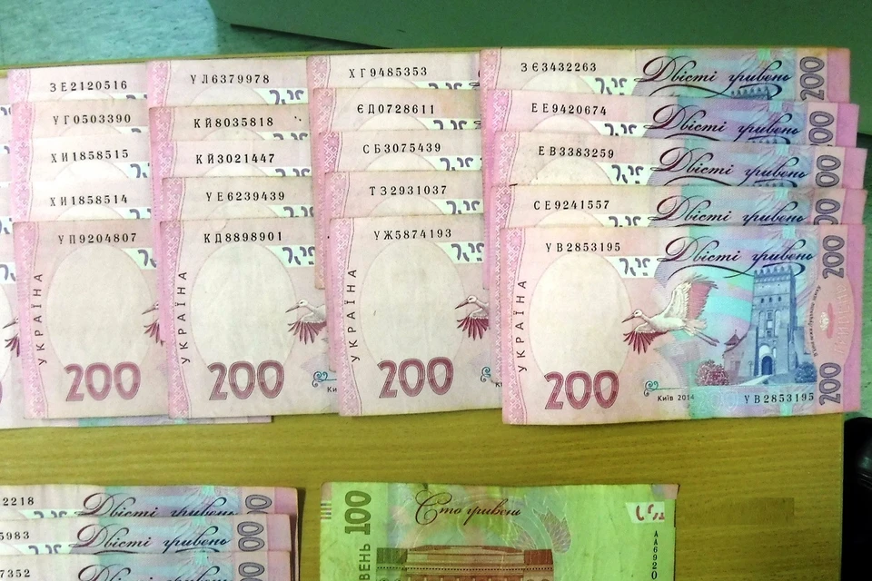 720 тысяч гривен нашли у студента на границе с Финляндией. Фото: СЗТУ.